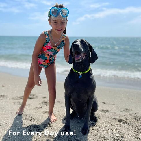 CORDA Crafts - Paracord Kit - Complete Accessories for Making Necklace Dog and Owner Matching Bracelet - Easy Video Tutorial - Waterproof Pet ID Tag Clip Included - Small Dog, Army in Saudi Arabia
