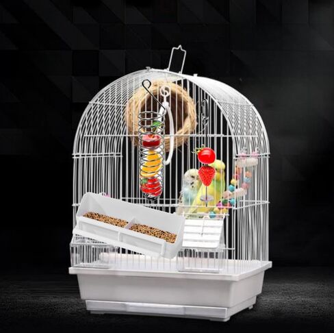 مجموعة حامل طعام الطيور من 3 قطع، مغذيات الطيور من الفولاذ المقاوم للصدأ، سيخ ببغاء الطيور، حامل خضروات وفواكه حيوانات صغيرة، وحدة تغذية الطعام المعلقة للببغاوات والكوكاتو وأداة معالجة قفص الكوكاتيل in Kuwait