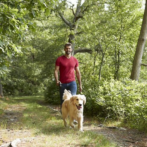 Franklin Pet Supply - مقود قابل للسحب - مقود للكلاب - 16 قدم - زر واحد للفرامل والقفل - شديد التحمل - خالٍ من التشابك لجميع الكلاب بوزن 30 رطل. إلى 125 رطلا in Saudi Arabia