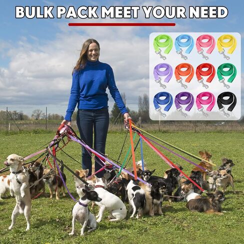 24 Pack Nylon Dog Training Leash Bulk 5 ft Dog Leash for Small and Medium Puppy Traction Rope for Training, Play, Camping, or Backyard, 12 Assorted Colors(Vibrant Colors) in Kuwait