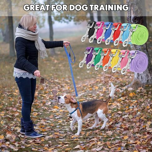 24 Pack Nylon Dog Training Leash Bulk 5 ft Dog Leash for Small and Medium Puppy Traction Rope for Training, Play, Camping, or Backyard, 12 Assorted Colors(Vibrant Colors) in Kuwait