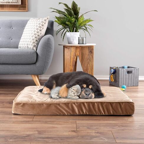 PETMAKER Dog Bed with Removable Cover – 26x19 Pet Bed - 4.5-Inch Egg Crate Style Memory Foam Orthopedic Dog Bed and Non-Slip Crate Bed (Tan) in Saudi Arabia