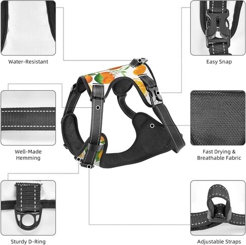 السوشي لا سحب الكلب تسخير للكلاب الكبيرة لا سحب المقود الكلب، قابل للتعديل كبير الكلب تسخير عاكس سترة الكلب تسخير، من السهل المشي الكلب تسخير للكلاب المتوسطة لا سحب تسخير الحيوانات الأليفة in Kuwait