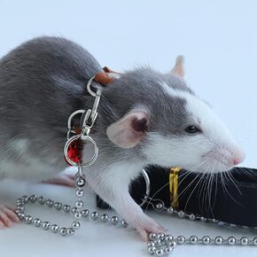 3 Pack Rat Harness and Leash Set - Adjustable Traction Rope Strap Anti-Biting Chain Rope, Small Animal Training Walking Vest Leash for Fancy Rat Mouse Gerbil Hamster Sugar Glider Birds Reptile (Black)