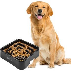 Small Slow Feeder Dog Bowls Stop Bloat Bowl Anti-Choking &Anti-Gulping & Fun Feeding Bowl (Small, Black)