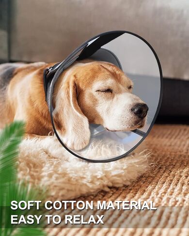 طوق مخروطي للكلاب بعد الجراحة، مخروط ناعم لتعافي الكلاب، مخاريط للكلاب قابلة للتنفس للكلاب الصغيرة الكبيرة والمتوسطة، طوق تعافي الكلاب قابل للتعديل للحيوانات الأليفة، طوق إلكتروني آمن لشفاء الجروح  (كبير) in Kuwait