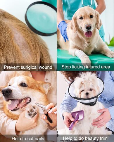 طوق مخروطي للكلاب بعد الجراحة، مخروط ناعم لتعافي الكلاب، مخاريط للكلاب قابلة للتنفس للكلاب الصغيرة الكبيرة والمتوسطة، طوق تعافي الكلاب قابل للتعديل للحيوانات الأليفة، طوق إلكتروني آمن لشفاء الجروح  (كبير) in Kuwait