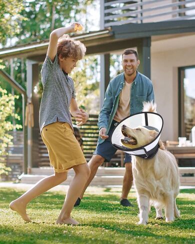 طوق مخروطي للكلاب بعد الجراحة، مخروط ناعم لتعافي الكلاب، مخاريط للكلاب قابلة للتنفس للكلاب الصغيرة الكبيرة والمتوسطة، طوق تعافي الكلاب قابل للتعديل للحيوانات الأليفة، طوق إلكتروني آمن لشفاء الجروح  (كبير) in Kuwait