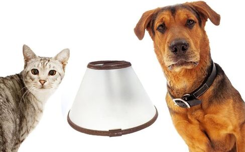 طوق Gmaso Pet Recovery الإلكتروني للكلاب والقطط الأليفة، طوق تعافي احترافي قابل للتعديل للعمليات الجراحية، وحماية شفاء الجروح (M) in Saudi Arabia