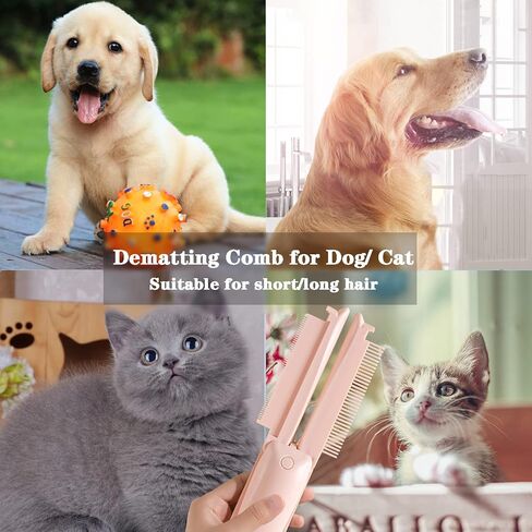 مشط القطط 3 في 1 من مولي باوز لشعر القطط الداخلي غير اللامع، مشط الحيوانات الأليفة للتزيين، أداة فرشاة للكلاب ذات أسنان مستديرة مسطحة لإزالة التشابك، إزالة التشابك، إزالة المعطف السفلي، مزيل فراء الحيوانات الأليفة لملابس أريكة الأثاث in Kuwait