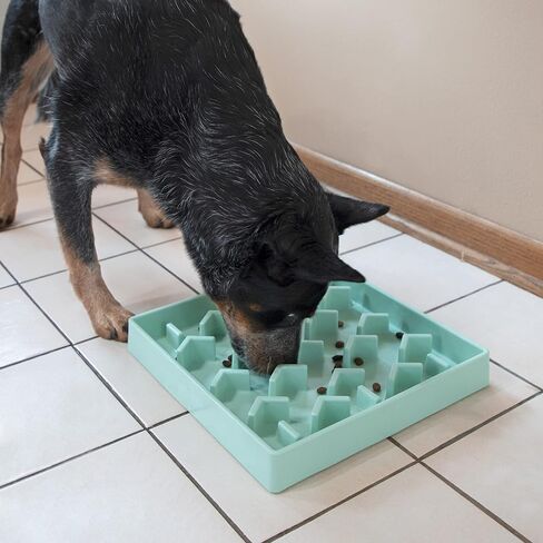 SPORT PET Slow Feed Tray, Aqua in Kuwait