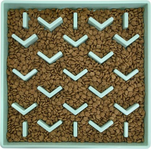 SPORT PET Slow Feed Tray, Aqua in Kuwait