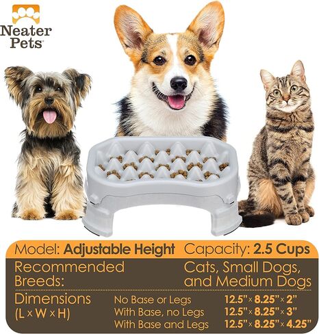 Neater Pet Brands - وعاء تغذية بطيء مرتفع للكلاب من Neater - ارتفاع طعام مرتفع وقابل للتعديل - (عشاء مزدوج/مع وعاء معدني، جونميتال) in Kuwait