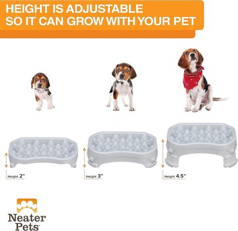 Neater Pet Brands - وعاء تغذية بطيء مرتفع للكلاب من Neater - ارتفاع طعام مرتفع وقابل للتعديل - (عشاء مزدوج/مع وعاء معدني، جونميتال) in Kuwait