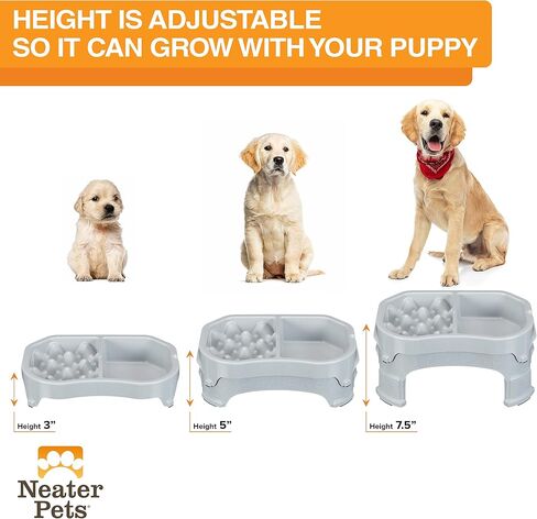Neater Pet Brands – Neater Raised Slow Feeder Dog Bowl – Elevated and Adjustable Food Height - (2.5 Cup, Aquamarine) in Saudi Arabia