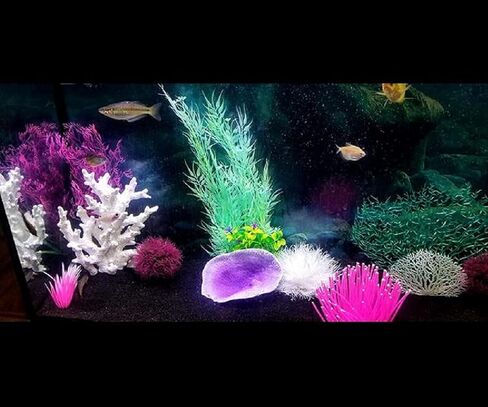 zmgmsmh الشعاب المرجانية الاصطناعية الديكور الحرفية الراتنج المرجانية زخرفة تحت الماء نباتات حوض السمك المرجانية الديكور خزان الزينة - الأبيض in Kuwait