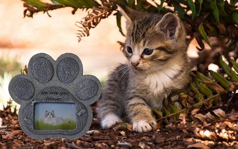 PESSILIN Cat Memorial Stones, Pet Tombstone for Cat, cat Memorial Gifts for Loss of cat, Loss of cat Sympathy Gift, Indoor Outdoor Headstones for Grave Loss of Pet's Spiritual Resting Place in Saudi Arabia