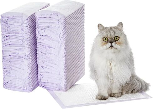 Amazon Basics Cat Pad Refills for Litter Box, Unscented, 60 Count (Pack of 1), Purple in Saudi Arabia