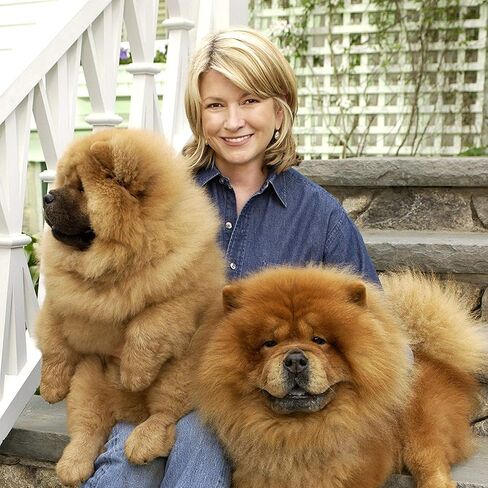 Martha Stewart for Pets 2-in-1 Puppy Shampoo with Grapefruit | Tearless Dog Shampoo and Conditioner, Safe for All Dogs and Puppies, 16 Ounce Bottle Dog Wash in Saudi Arabia
