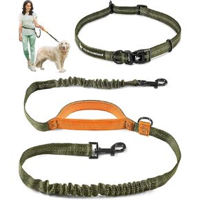 Exquisite Hands-Free Dog Leash: Perfect for Active Pet Owners Comfortable, Durable & Ideal for Running, Walking, Hiking. Premium Large Dog Waist Leash with Bungee. Must-Have Dog Gear