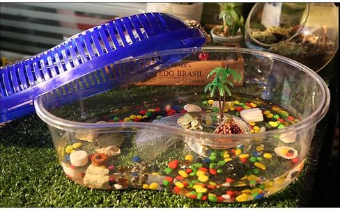 OMEM Portable Reptile House Terrarium Habitat Clear and Breathable (Small) in Saudi Arabia