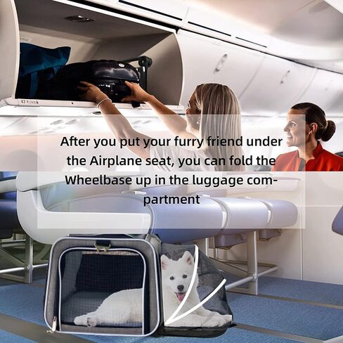 Airline Approved Expandable Premium Pet Carrier on Wheels- Two Sided Rolling Carrier- Designed for Dogs & Cats- Extra Spacious Soft Lined Carrier! (Black) (RL-PET-CARRIER-WHEELS) in Saudi Arabia
