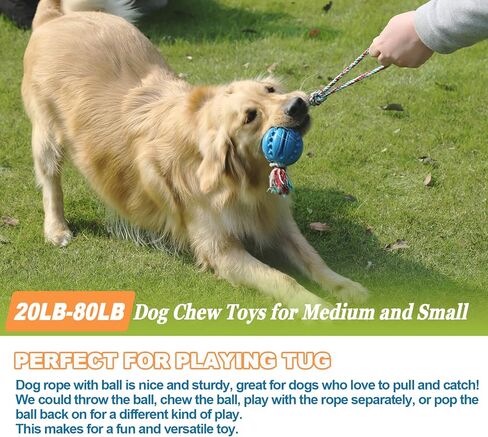 Durable Dog Chew Ball Rope - Natural Rubber Ball for Dog Training, Chewing and Interactive, Tug Ball Toy Clean Teeth, Interactive Toys for Puppy Small Medium Large Dogs in Kuwait