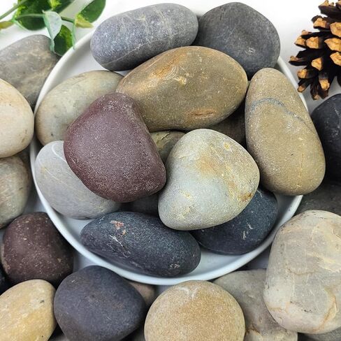 YISZM 2lbs Aquarium Rocks, 5/8" Natural Mixed Pebbles for Plants in Kuwait