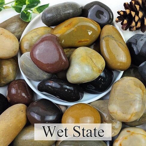YISZM 2lbs Aquarium Rocks, 5/8" Natural Mixed Pebbles for Plants in Kuwait
