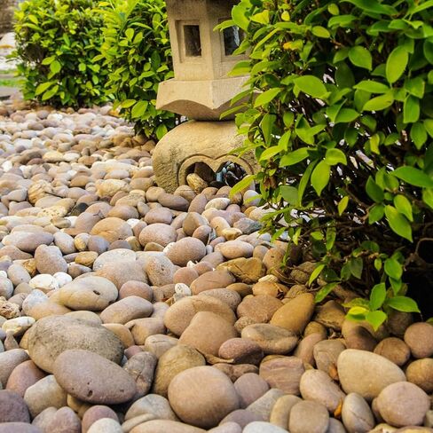 YISZM 2lbs Aquarium Rocks, 5/8" Natural Mixed Pebbles for Plants in Kuwait