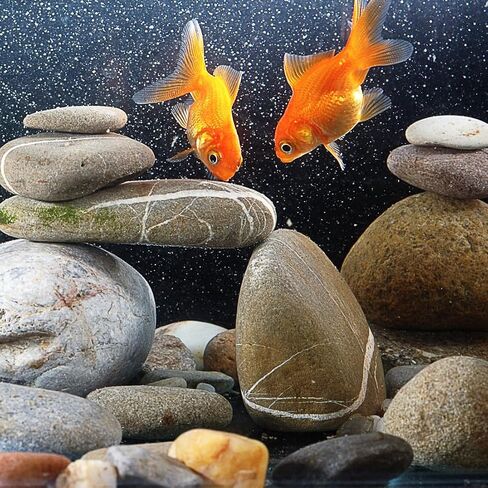 YISZM 2lbs Aquarium Rocks, 5/8" Natural Mixed Pebbles for Plants in Kuwait