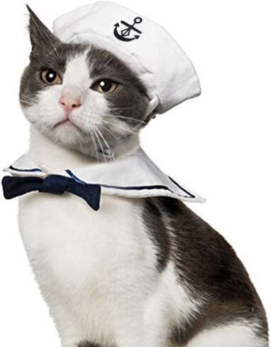 Namsan Holiday Pet Costume Cat Birthday Hat Small Dog Birthday Cake Hat Dog Birthday Party Supplies, Small in Saudi Arabia