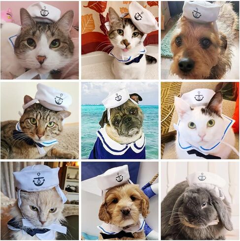 Namsan Holiday Pet Costume Cat Birthday Hat Small Dog Birthday Cake Hat Dog Birthday Party Supplies, Small in Saudi Arabia