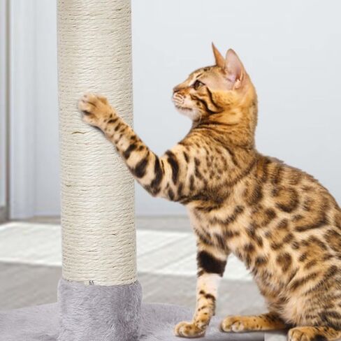 MIAO PAW 6Cat Tree Tower Condo Sisal Post Scratching Furniture Activity Center Play House Cat Bed Grey in Kuwait