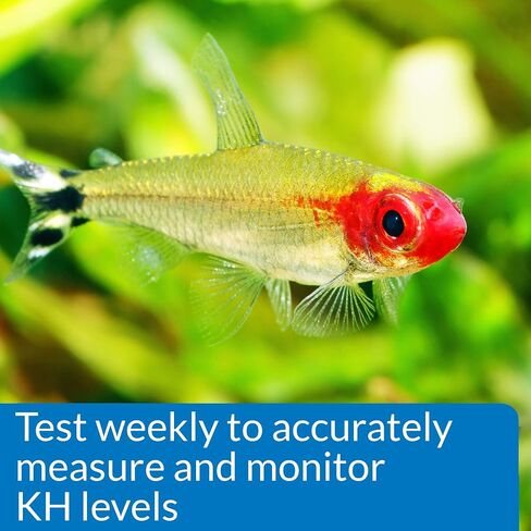 API CARBONATE HARDNESS TEST KIT Aquarium Water Test Kit in Saudi Arabia