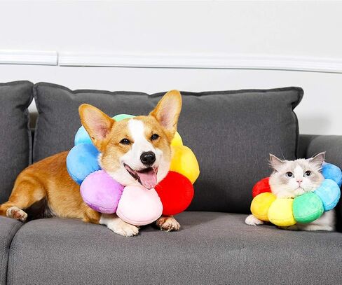 Pet Adjustable Recovery Collar in Kuwait