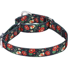 Serijoars Adjustable Martingale Dog Collar Heavy Duty Nylon Dog Collar for Medium Large Dogs Walking Training Boy and Girl Dogs (L, Skullhead)