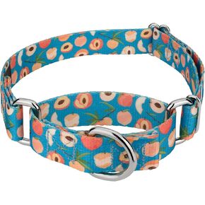 Country Brook Petz - Barista Martingale Dog Collar Limited Edition - Tasty Collection Featuring Yummy Designs (1/2 Inch, 2XS)