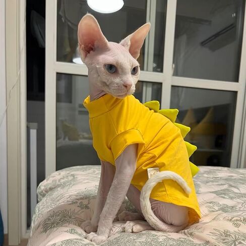 Dinosaur Design Sphynx Hairless Cat Clothes Cute Breathable Summer Cotton Shirts Cat Costume Pet Clothes,Round collar Kitten T-Shirts with Sleeves, Cats & Small Dogs Apparel (S (2-3.5 lbs), Black) in Saudi Arabia