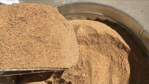 BadAssBugs™ 1LB دوبيا روتش تشاو وايلد بيري in Kuwait