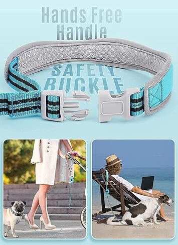 مقود للكلاب بطول 5 أقدام بدون استخدام اليدين للكلاب الصغيرة والمتوسطة، مقود للكلاب من النايلون، مقود عاكس للمشي للكلاب مع حامل حقيبة البراز باللون الأزرق in Kuwait