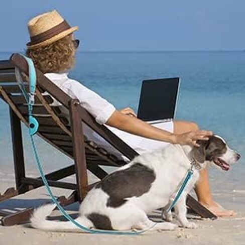 مقود للكلاب بطول 5 أقدام بدون استخدام اليدين للكلاب الصغيرة والمتوسطة، مقود للكلاب من النايلون، مقود عاكس للمشي للكلاب مع حامل حقيبة البراز باللون الأزرق in Kuwait