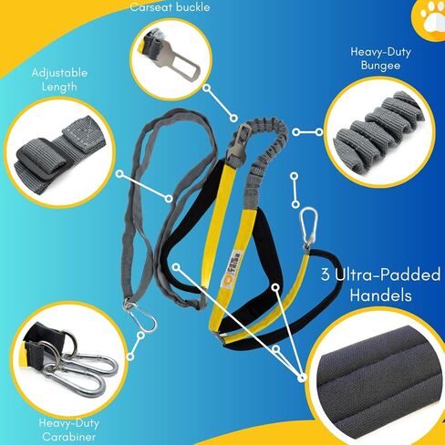 Paw Tribe Hands Free Dog Leash – Heavy-Duty Waist Leash for Dog Walking – Bungee Dog Leash Dog Walking Bag No Pull Dog Running Leash Multiple Dog Walking Fanny Pack Medium Large Dog Hiking Gear in Saudi Arabia