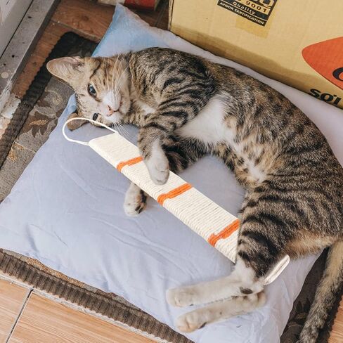 TEHAUX Cat Nip Cat Scratcher السيزال المعلق للقطط وسادة الخدش الزاوية القط خدش حصيرة القط لعبة الخدش للمنزل (لون عشوائي) القط خدش الورق المقوى in Kuwait