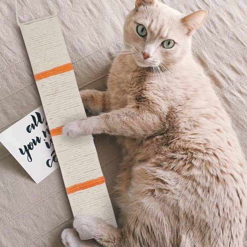 TEHAUX Cat Nip Cat Scratcher السيزال المعلق للقطط وسادة الخدش الزاوية القط خدش حصيرة القط لعبة الخدش للمنزل (لون عشوائي) القط خدش الورق المقوى in Kuwait