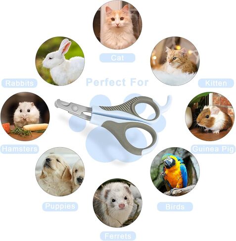 OYANTEN Cat Nail Clipper Trimmer - Pet Clippers Claw Trimmer Grooming Tool for Kitten Small Dog Bunny Rabbit Bird, Small Animals, Blue in Saudi Arabia