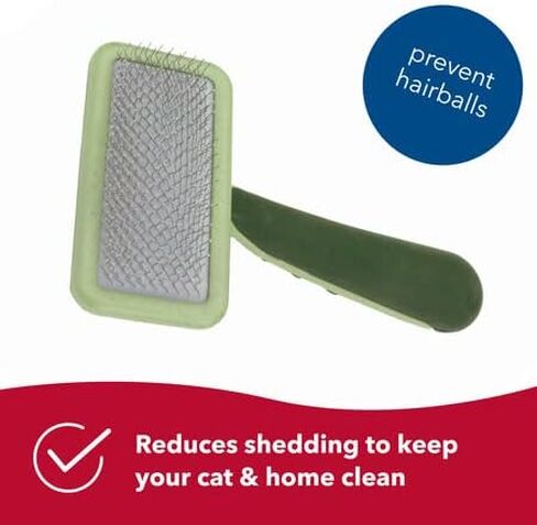 Coastal Pet Hair Brush for Dogs of All Types - Safari Curved Slicker Brush - Pet Grooming Tools for Shedding - Dog Pin Brush for Detangling - 7.5 x 4.5 inches in Saudi Arabia