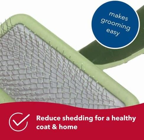 Coastal Pet Hair Brush for Dogs of All Types - Safari Curved Slicker Brush - Pet Grooming Tools for Shedding - Dog Pin Brush for Detangling - 7.5 x 4.5 inches in Saudi Arabia
