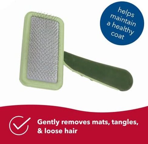 Coastal Pet Hair Brush for Dogs of All Types - Safari Curved Slicker Brush - Pet Grooming Tools for Shedding - Dog Pin Brush for Detangling - 7.5 x 4.5 inches in Saudi Arabia