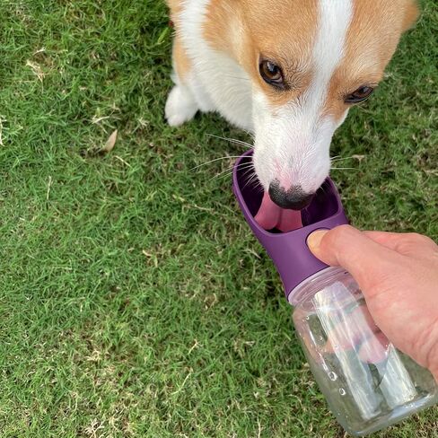 WePet Portable Dog Water Bottle with Food Container, 12 OZ + 6 OZ, Leak Proof Puppy Water Dispenser with Drinking Feeder for Pets Outdoor Walking, Hiking, Travel, Food Grade Plastic in Saudi Arabia
